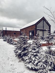 un edificio con árboles nevados delante de él en Jabłonka Resort, en Jabłonka