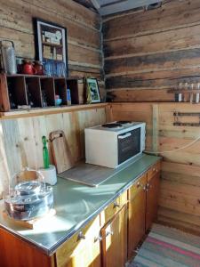 a kitchen with a microwave on top of a counter at Tiny House in Nattavaara by in Nattavaara