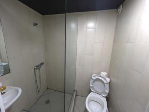 La salle de bains est pourvue d'une douche, de toilettes et d'un lavabo. dans l'établissement Aghmashenebeli Apartment, à Tbilissi