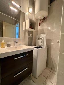 uma casa de banho com um lavatório e uma máquina de lavar roupa em PETIT CAPUCIN em Carcassonne