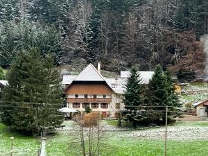 ein großes Haus inmitten eines Feldes mit Bäumen in der Unterkunft Geräumige Wohnung im Schwarzwald in Seelbach