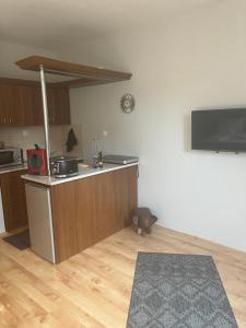 a kitchen with a counter top in a room at Grace Apartman in Hajdúszoboszló