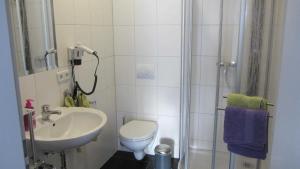 uma casa de banho com um WC, um lavatório e um chuveiro em Am Alten Forsthaus em Neuenbau