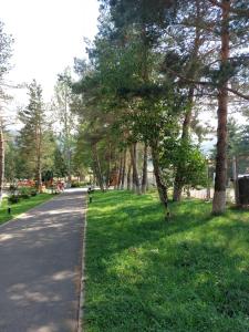 a park with trees and green grass next to a road at Bakuriani Inn Apartment #13 in Bakuriani