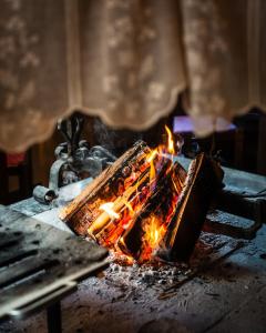 トルメッツォにあるAl Fogolâr Rooms & Osteria with Saunalandの部屋内の暖炉