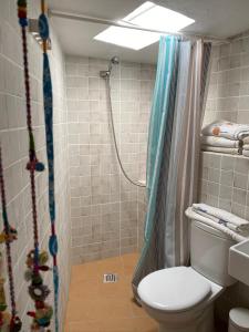 アガエテにあるLos Jazminesのバスルーム(シャワー、トイレ、洗面台付)