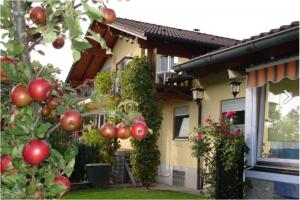une maison avec des pommes rouges sur les arbres de la cour dans l'établissement Ferienwohnung Fitzek, à Seeg