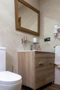 ein Badezimmer mit einem weißen WC und einem Spiegel in der Unterkunft Casa Milagrito Gran Canaria in Vega de San Mateo