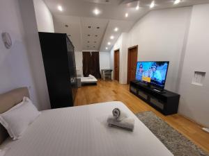 a bedroom with a bed and a flat screen tv at Open Space Spa Apartment Monza National Arena in Colonişti