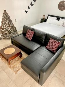 Kinneret View في كينيرت: أريكة جلدية سوداء في غرفة معيشة مع سرير