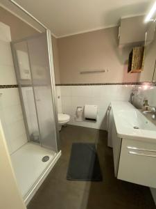 a bathroom with a shower and a toilet and a sink at Ferienwohnung "Zehn" in Kobbellück