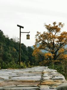 a street light next to a road with trees at 0517 Boutique Hotel in Huangshan Scenic Area