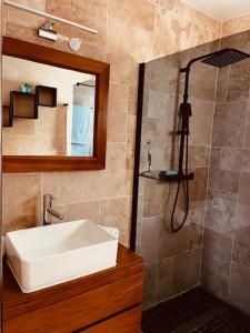 a bathroom with a sink and a shower at La Villa Choka in Trois Bassins