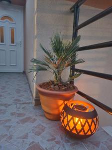 a potted plant in a pot next to a staircase at Vila Marija in Rab