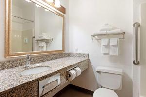 a bathroom with a sink and a toilet and a mirror at Quality Inn Bemidji in Bemidji