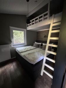 a bedroom with a bunk bed and a ladder at Ferienhaus Bergwild in Winterberg