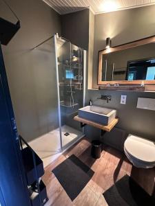 a bathroom with a shower and a sink and a toilet at Ferienhaus Bergwild in Winterberg