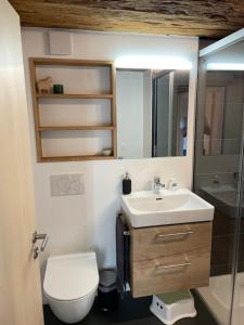 a bathroom with a sink and a toilet and a mirror at Walliser Stadel in Fieschertal