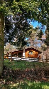 eine Holzhütte mit einem Zaun und einem Baum in der Unterkunft La quiete di Tregiovo - CIPAT 22253-AT-34903 in Revò