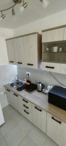 Eldhús eða eldhúskrókur á Apartman Ema