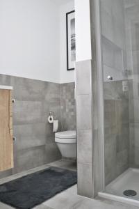 a bathroom with a toilet and a shower at FeWo Zur Wasserburg in Oelsnitz/Vogtland +25 photos