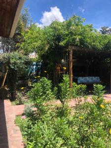 un jardín con árboles y plantas frente a un edificio en Sala Gongs en San Miguel del Monte