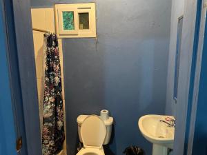 a small bathroom with a toilet and a sink at Airport Inn Roatan in Coxen Hole