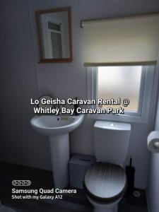 a bathroom with a white toilet and a sink at Lo Geisha Caravan Rental at Whitley Bay Caravan Park in Whitley Bay