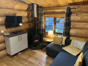 a living room with a couch and a tv and a fireplace at Mountain Edge Resort Lodge 2 with Hot Tub in Church Stretton