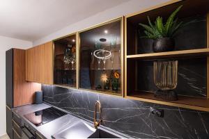 una cucina con lavandino e un armadio con una pianta di Apartman Joe a Virovitica