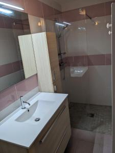 y baño con lavabo y ducha. en Manoir du Boscau, Gilles del Bosc, en Prudhomat