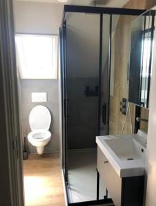 La salle de bains est pourvue de toilettes et d'une douche en verre. dans l'établissement welkom bij 5, à Den Ilp