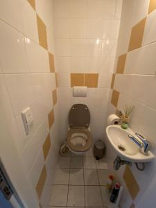 a small bathroom with a toilet and a sink at Kom tot rust midden de natuur! Top Locatie! Top Deal!! in Bovenwezet