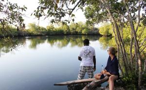 Gallery image of Pemba Eco Lodge in Kengeja