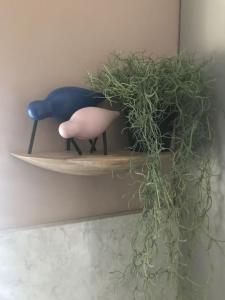 a shelf with a plant and a blue bird on it at Ultra Stylish furnished Home in Edinburgh in Edinburgh