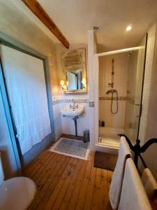 a bathroom with a sink and a shower and a toilet at Pierres et Jardins in Senlis