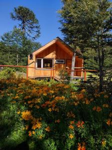 una cabaña en el bosque con un campo de flores en Sollipulli Cabaña Chucao, Lodge Nevados de Sollipulli, en Melipeuco