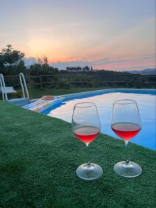 dos copas de vino tinto sentado junto a una piscina en B&B La Casa in Campagna, en Collecorvino