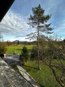 Peisaj natural din apropierea acestei pensiuni