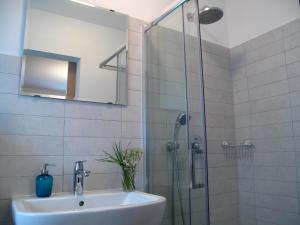 a bathroom with a sink and a glass shower at Guesthouse Bor Plitvice Lakes in Plitvička Jezera