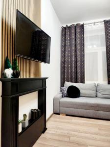 Il comprend un salon doté d'un canapé et d'une télévision à écran plat. dans l'établissement Apartament Skandia, à Toruń