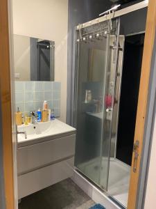 a bathroom with a shower and a sink at Avélia Bonnevie in Murat +12 photos