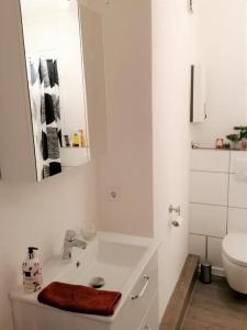 a bathroom with a sink and a mirror and a toilet at Ferienwohnung Eagle Nest in Winterberg in Winterberg