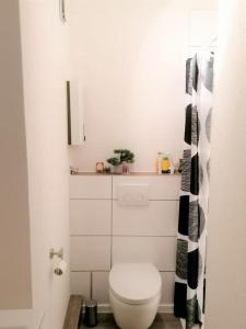a bathroom with a white toilet in a room at Ferienwohnung Eagle Nest in Winterberg in Winterberg