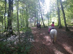 three people riding horses on a trail in the woods at Chambre triple du grand sapin 