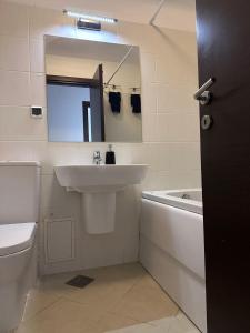 a bathroom with a sink and a toilet and a mirror at Forest View Pipera in Voluntari