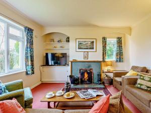 a living room with a couch and a fireplace at 5 Bed in Outgate and Tarn Hows LLH55 in Hawkshead