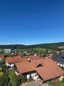 an overhead view of a house with red roofs at Traumurlaub im Schwarzwald in Dornstetten