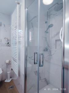 a shower with a glass door in a bathroom at Lumani Apartment Zagreb with FREE Parking in Zagreb