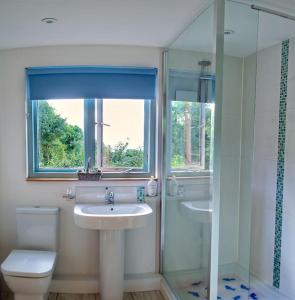 a bathroom with a sink and a shower and a toilet at Helnoweth Lodge in Penzance